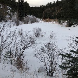 Meet your Posher, Corey